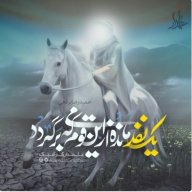 شیوا سادات