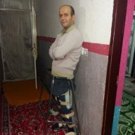 کمال محبی